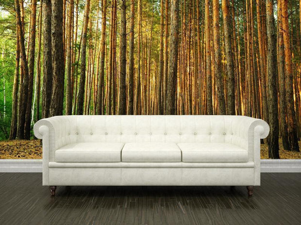Pine tree forest Wall Mural-Landscapes & Nature-Eazywallz