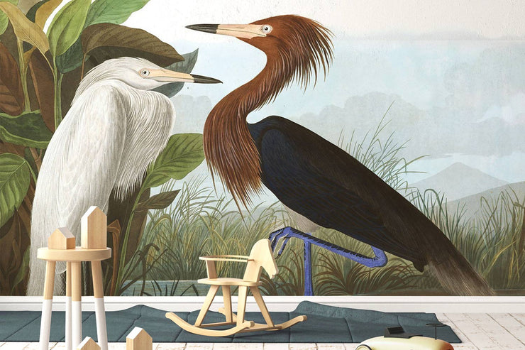 Purple Heron Wallpaper Mural