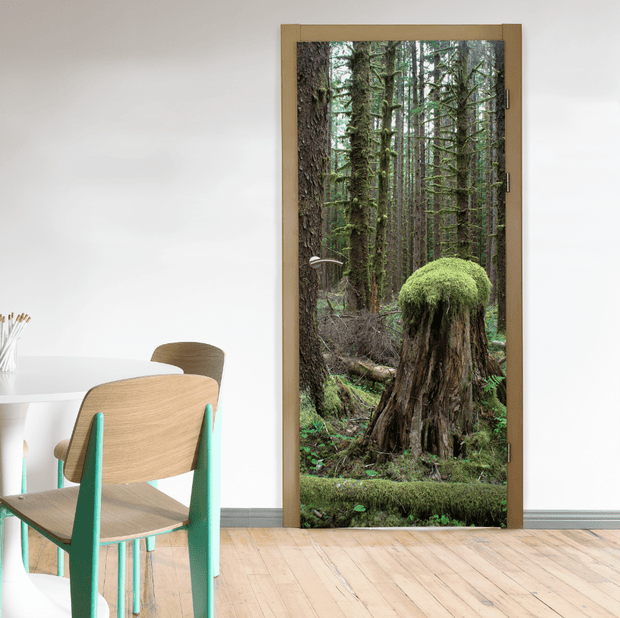 Rainforest Old Stump Door Mural-Landscapes & Nature-Eazywallz