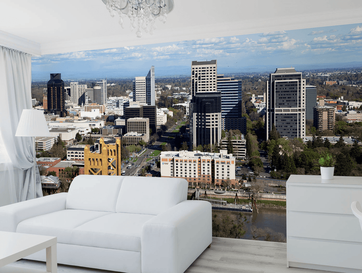 Sacramento Skyline Wall Mural-Cityscapes-Eazywallz