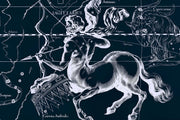 Sagittarius Constellation Map in Navy Wall Mural-astrology-Eazywallz