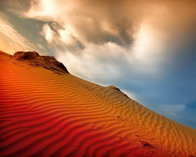 Sahara desert Wall Mural-Landscapes & Nature-Eazywallz