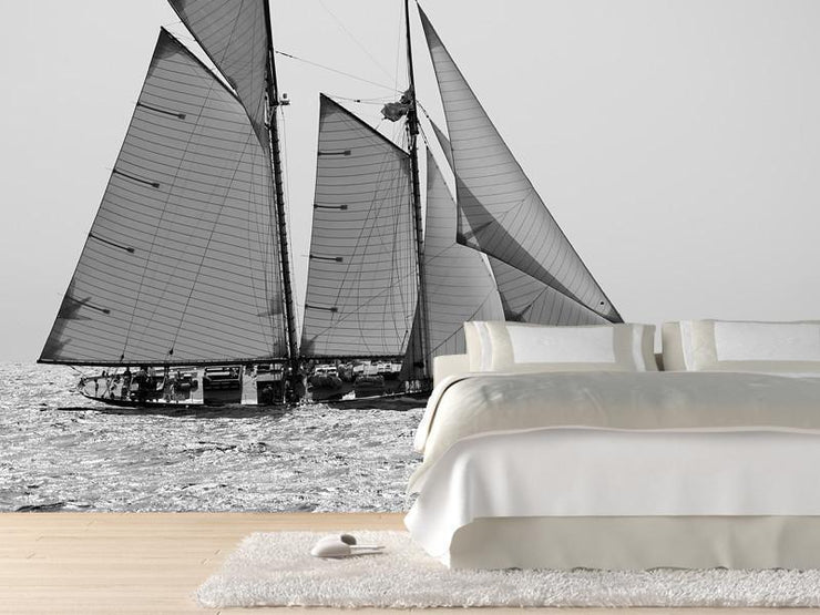 Sailboat Wall Mural-Black & White,Sports,Transportation-Eazywallz