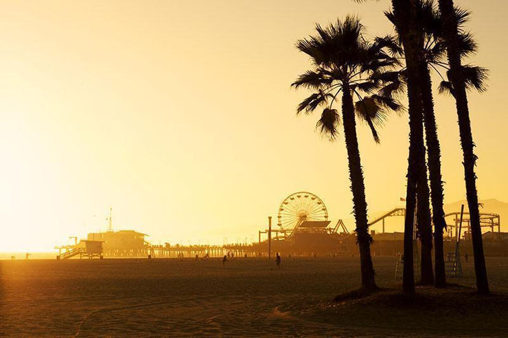 Santa Monica Beach Wall Mural-Buildings & Landmarks,Landscapes & Nature,Tropical & Beach-Eazywallz