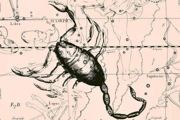Scorpio Constellation Map in Beige Wall Mural-astrology-Eazywallz