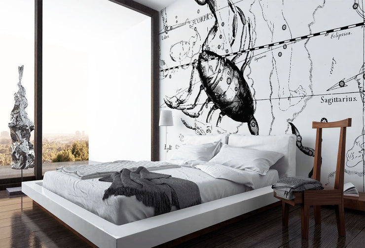 Scorpio Constellation Map Wall Mural-astrology-Eazywallz