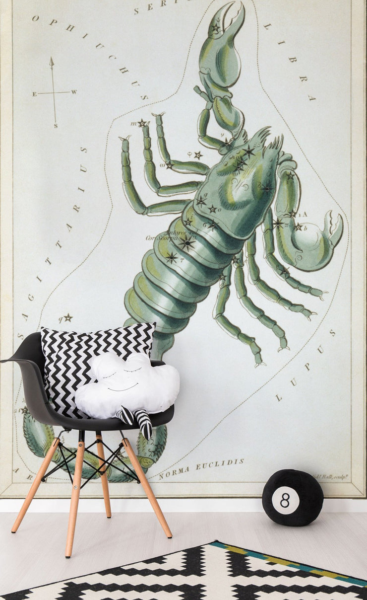 Scorpio Wall Mural-astrology-Eazywallz