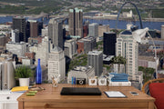 St. Louis Skyline Wall Mural-Cityscapes-Eazywallz