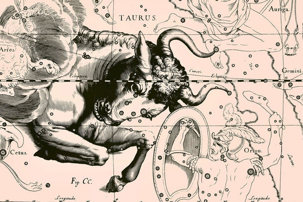 Taurus Constellation Map in Beige Wall Mural-astrology-Eazywallz