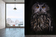 Photo Wallpaper The Owl