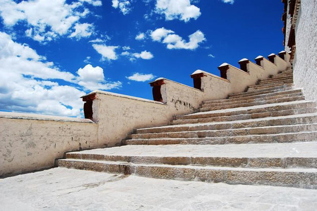 The stairs to the Potala Palace Wall Mural-Zen,Buildings & Landmarks-Eazywallz