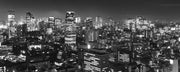 Tokyo Panorama Wall Mural-Black & White,Cityscapes,Panoramic-Eazywallz