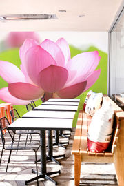 Translucent Pink Petals Wall Mural-Florals,Featured Category of the Month-Eazywallz