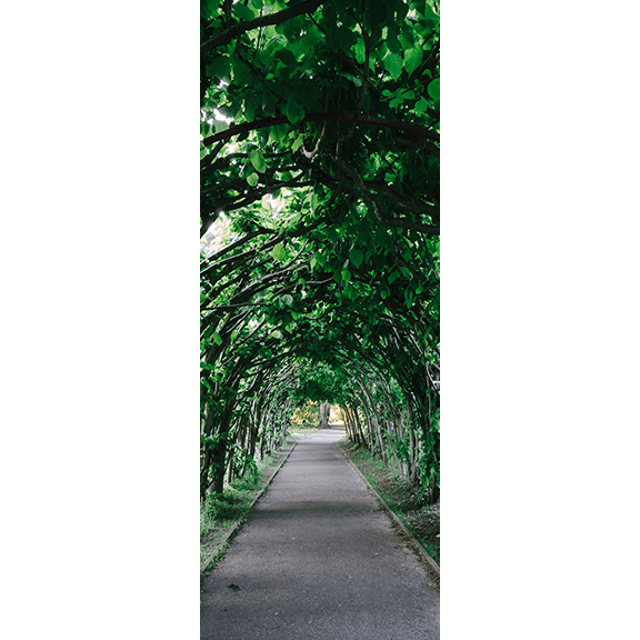 Tree Tunnel Door Mural-Landscapes & Nature-Eazywallz