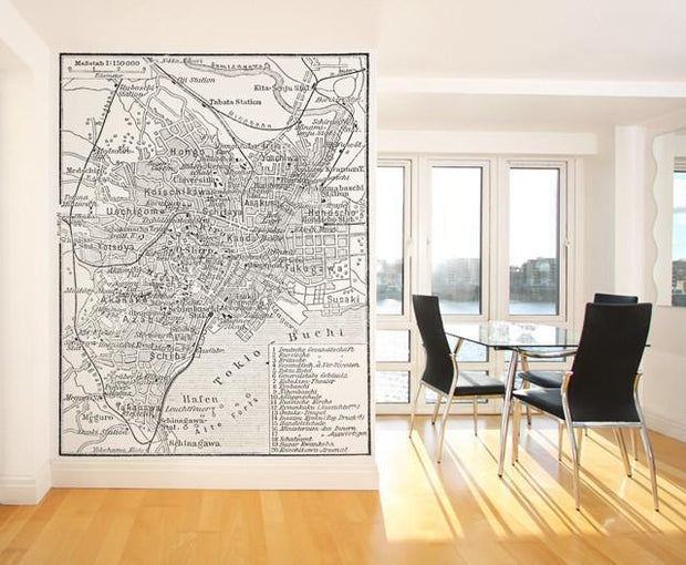 Vintage Map of Tokyo Wall Mural-Black & White,Maps-Eazywallz