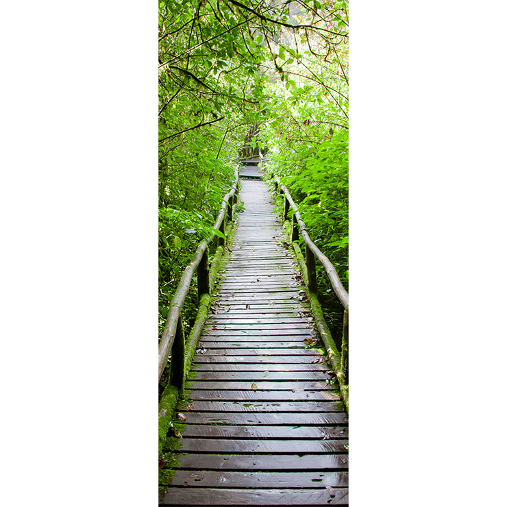 Wood Path Through Tropical Forest Door Mural