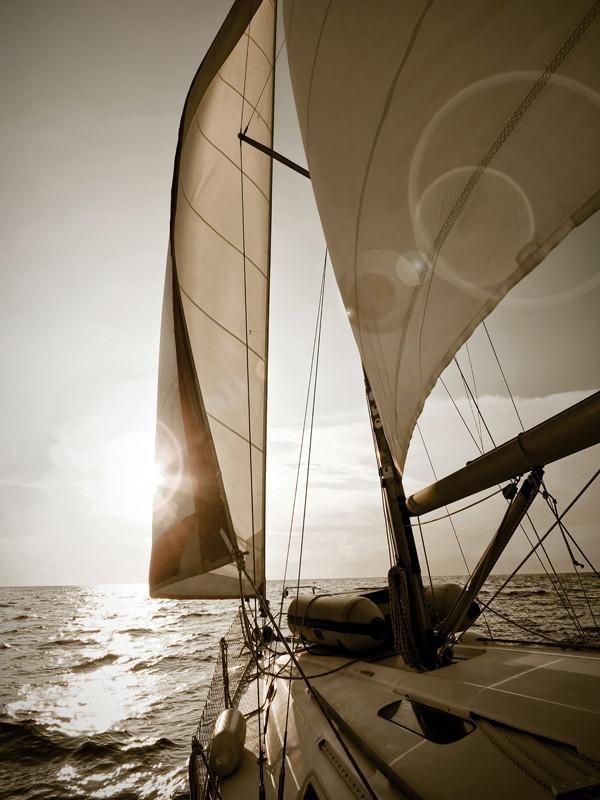 Yacht sailing towards sunset Wall Mural-Sports,Transportation-Eazywallz