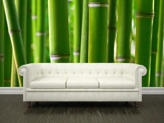 Zen bamboo Wall Mural-Landscapes & Nature,Zen-Eazywallz