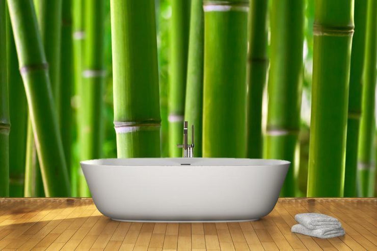 Zen bamboo Wall Mural-Landscapes & Nature,Zen-Eazywallz