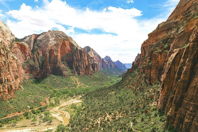 Zion National Park Wall Mural-Landscapes & Nature-Eazywallz